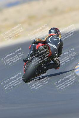 media/May-13-2023-SoCal Trackdays (Sat) [[8a473a8fd1]]/Turn 11 Backside (945am)/